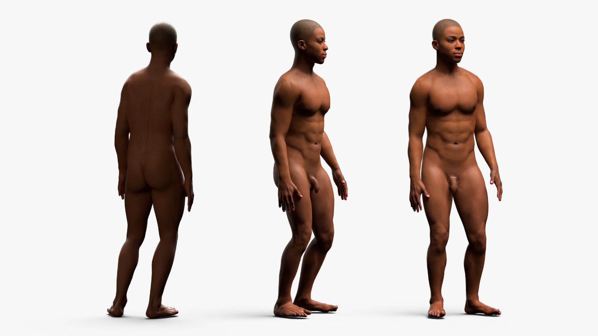 Male Full Body Anatomy Negroid Rigged for Maya 3D https://p.turbosquid.com/ts-thumb/3r/vHV7S1/0r/male_full_body_anatomy_negroid_rigged_015/jpg/1731554547/1920x1080/fit_q87/b81d932c4c18dae238a9f5d9dee0c38e3acc350f/male_full_body_anatomy_negroid_rigged_015.jpg