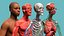 Anatomia completa del corpo maschile negroide truccato per Maya
