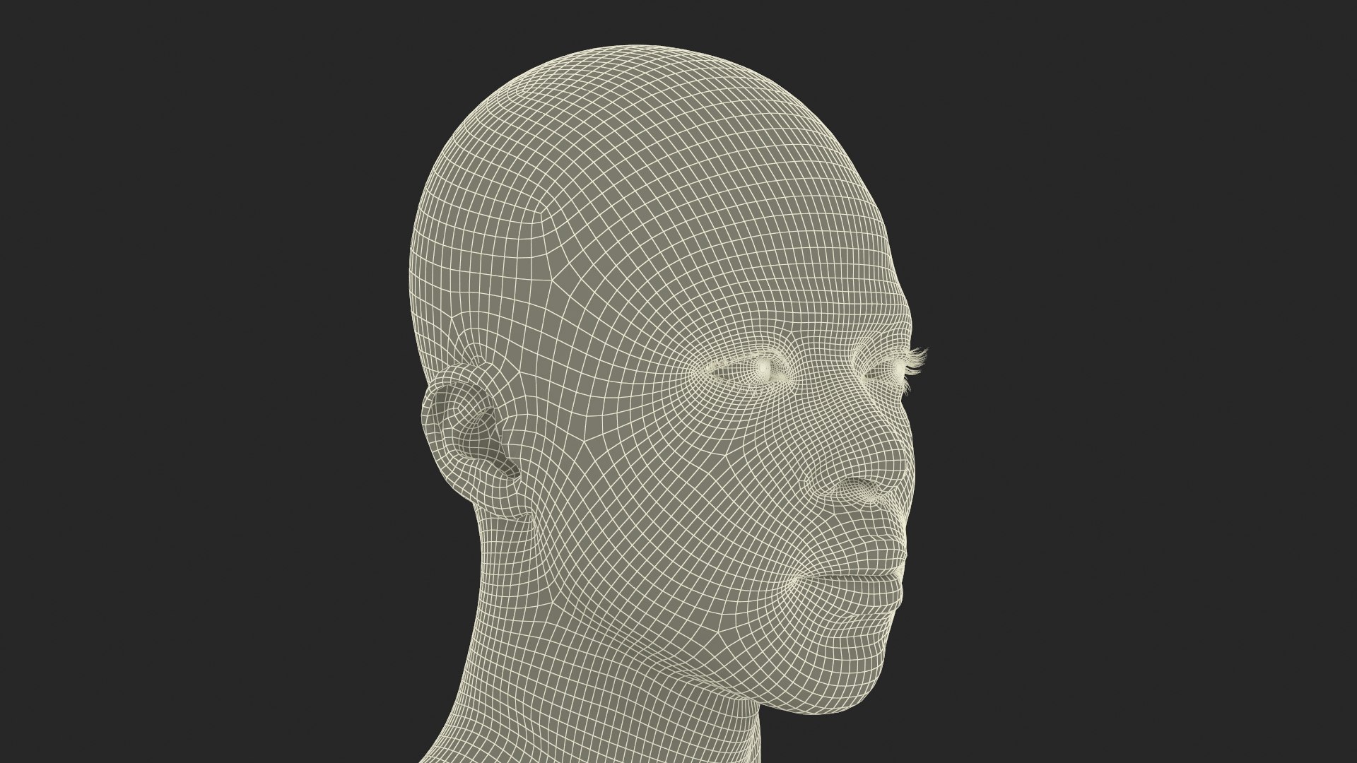Male Full Body Anatomy Negroid Rigged for Maya 3D https://p.turbosquid.com/ts-thumb/3r/vHV7S1/3o/male_full_body_anatomy_negroid_rigged_032/jpg/1731554627/1920x1080/fit_q87/30955fca064db0cd579ef60351ac8508440a9cc8/male_full_body_anatomy_negroid_rigged_032.jpg