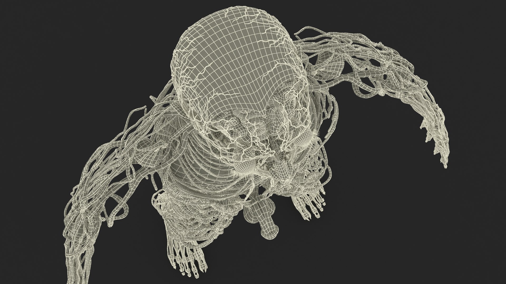 Male Full Body Anatomy Negroid Rigged for Maya 3D https://p.turbosquid.com/ts-thumb/3r/vHV7S1/7r/male_full_body_anatomy_negroid_rigged_035/jpg/1731554645/1920x1080/fit_q87/6fa8f68ace50928fda952988654801720d0238c5/male_full_body_anatomy_negroid_rigged_035.jpg