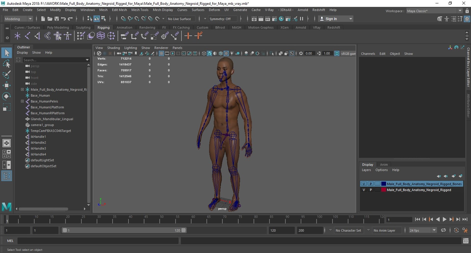 Male Full Body Anatomy Negroid Rigged for Maya 3D https://p.turbosquid.com/ts-thumb/3r/vHV7S1/RH/male_full_body_anatomy_negroid_rigged_for_maya_003/jpg/1731554672/1920x1080/fit_q87/1cb4f77bdcf78ba16de69b788c7f0f5da378045c/male_full_body_anatomy_negroid_rigged_for_maya_003.jpg