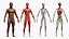 Anatomia completa del corpo maschile negroide truccato per Maya