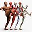 Anatomia completa del corpo maschile negroide truccato per Maya