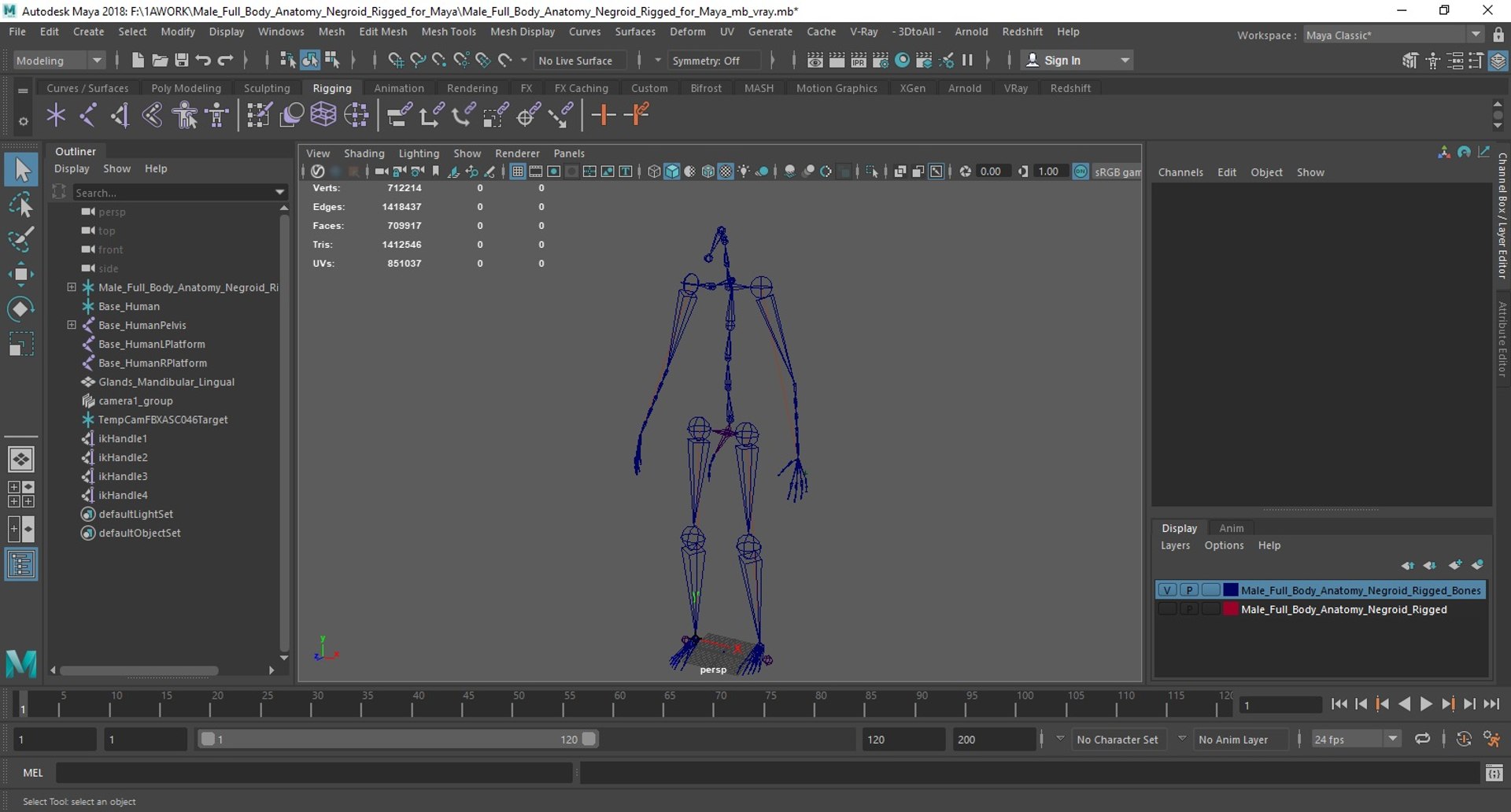 Male Full Body Anatomy Negroid Rigged for Maya 3D https://p.turbosquid.com/ts-thumb/3r/vHV7S1/WE/male_full_body_anatomy_negroid_rigged_for_maya_004/jpg/1731554677/1920x1080/fit_q87/ca4ee99e834b72d2c2d5667870225bf89ec4d8f2/male_full_body_anatomy_negroid_rigged_for_maya_004.jpg