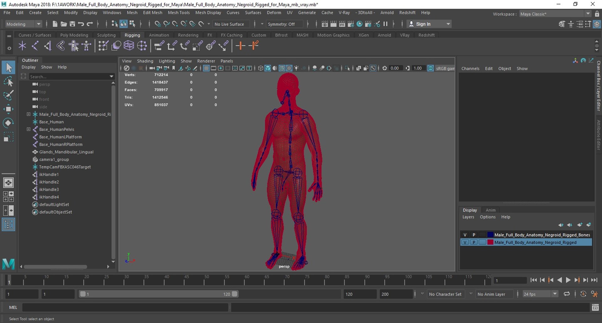 Male Full Body Anatomy Negroid Rigged for Maya 3D https://p.turbosquid.com/ts-thumb/3r/vHV7S1/Xw/male_full_body_anatomy_negroid_rigged_for_maya_005/jpg/1731554682/1920x1080/fit_q87/1da3c5fcdb719d8caa3d7b32b5eaf79a80914327/male_full_body_anatomy_negroid_rigged_for_maya_005.jpg