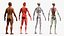 Anatomia completa del corpo maschile negroide truccato per Maya