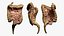 Anatomia completa del corpo maschile negroide truccato per Maya