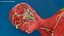 Anatomia completa del corpo maschile negroide truccato per Maya