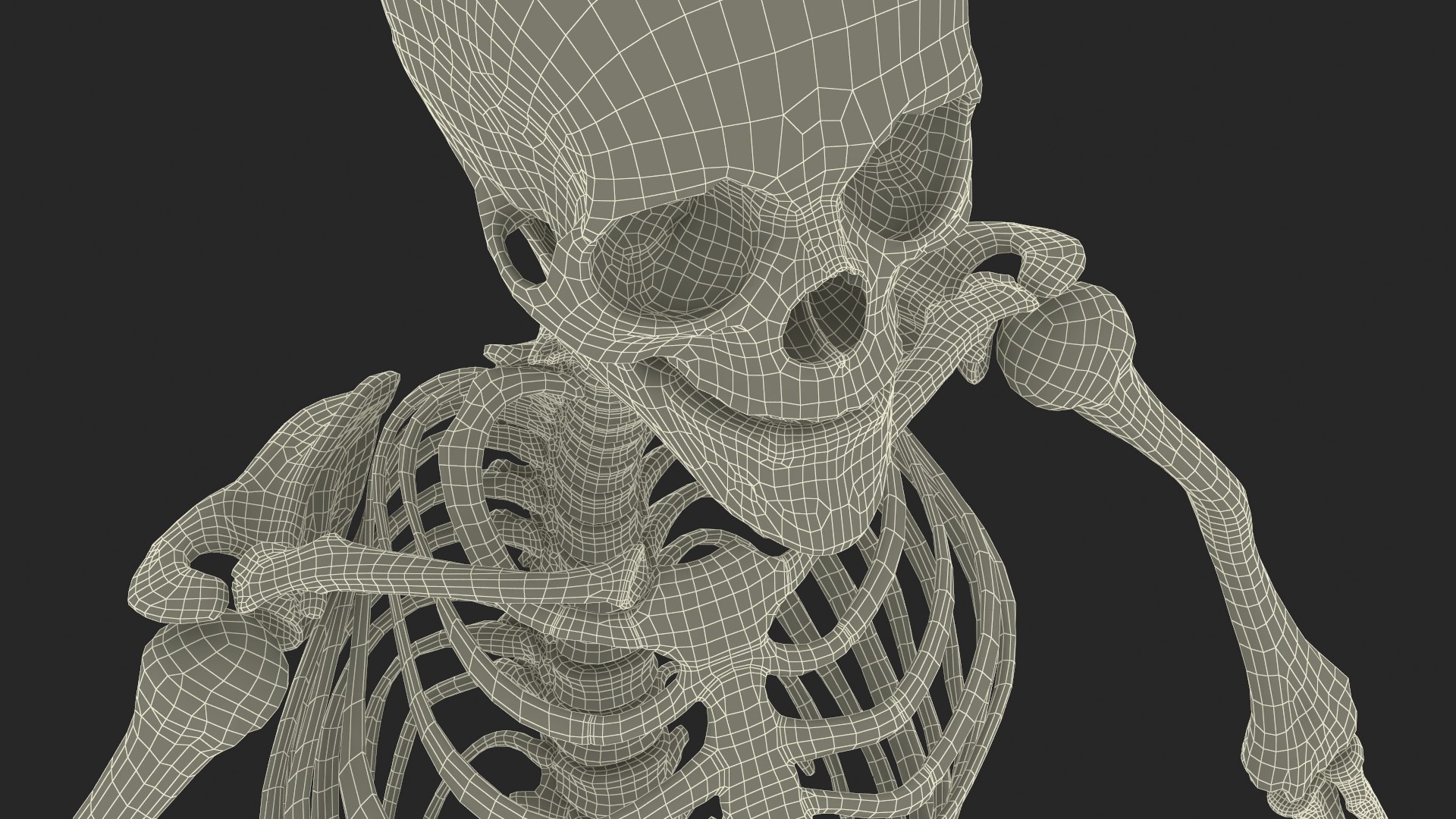 Male Full Body Anatomy Negroid Rigged for Maya 3D https://p.turbosquid.com/ts-thumb/3r/vHV7S1/zD/male_full_body_anatomy_negroid_rigged_034/jpg/1731554638/1920x1080/fit_q87/da47d2e19115f5a03999a5cc802140fac11c28b8/male_full_body_anatomy_negroid_rigged_034.jpg