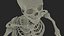 Anatomia completa del corpo maschile negroide truccato per Maya