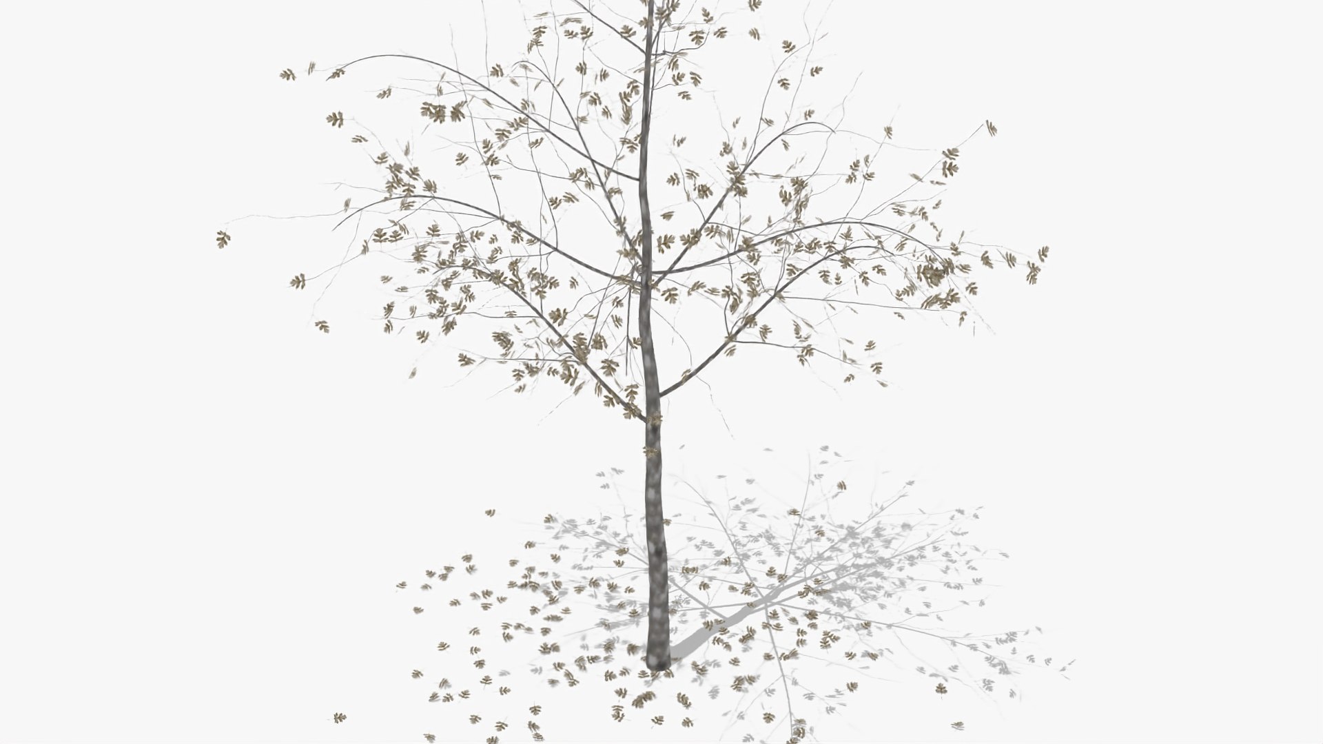 hawthorn winter hight model https://p.turbosquid.com/ts-thumb/3r/zCuveE/25U6V7Td/4/jpg/1601552854/1920x1080/fit_q87/36329dc9138404a58bf5645f565204aa393074e2/4.jpg