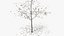 hawthorn winter hight poly