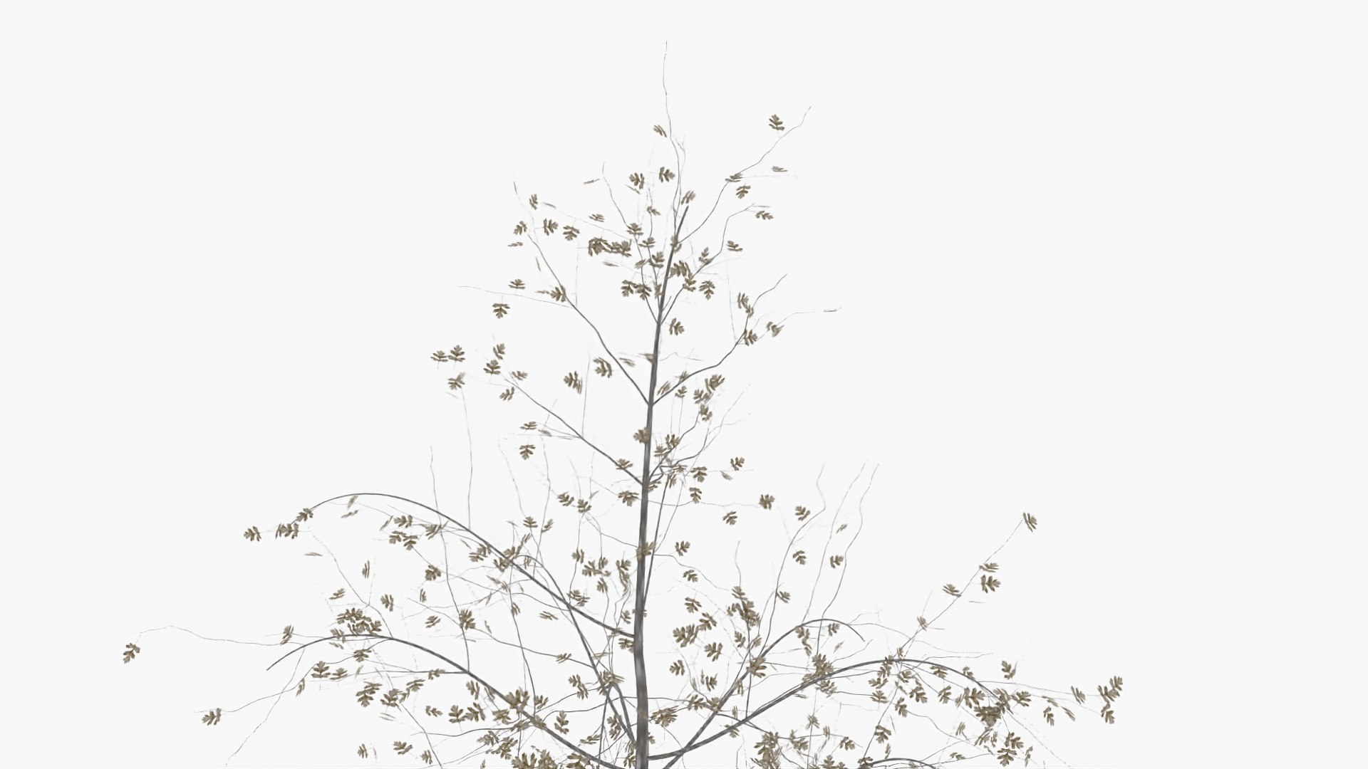 hawthorn winter hight model https://p.turbosquid.com/ts-thumb/3r/zCuveE/R2uk7ta9/3/jpg/1601552855/1920x1080/fit_q87/df669ff7652ec6154027cd7e5b00f9327e446e01/3.jpg