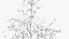 hawthorn winter hight poly