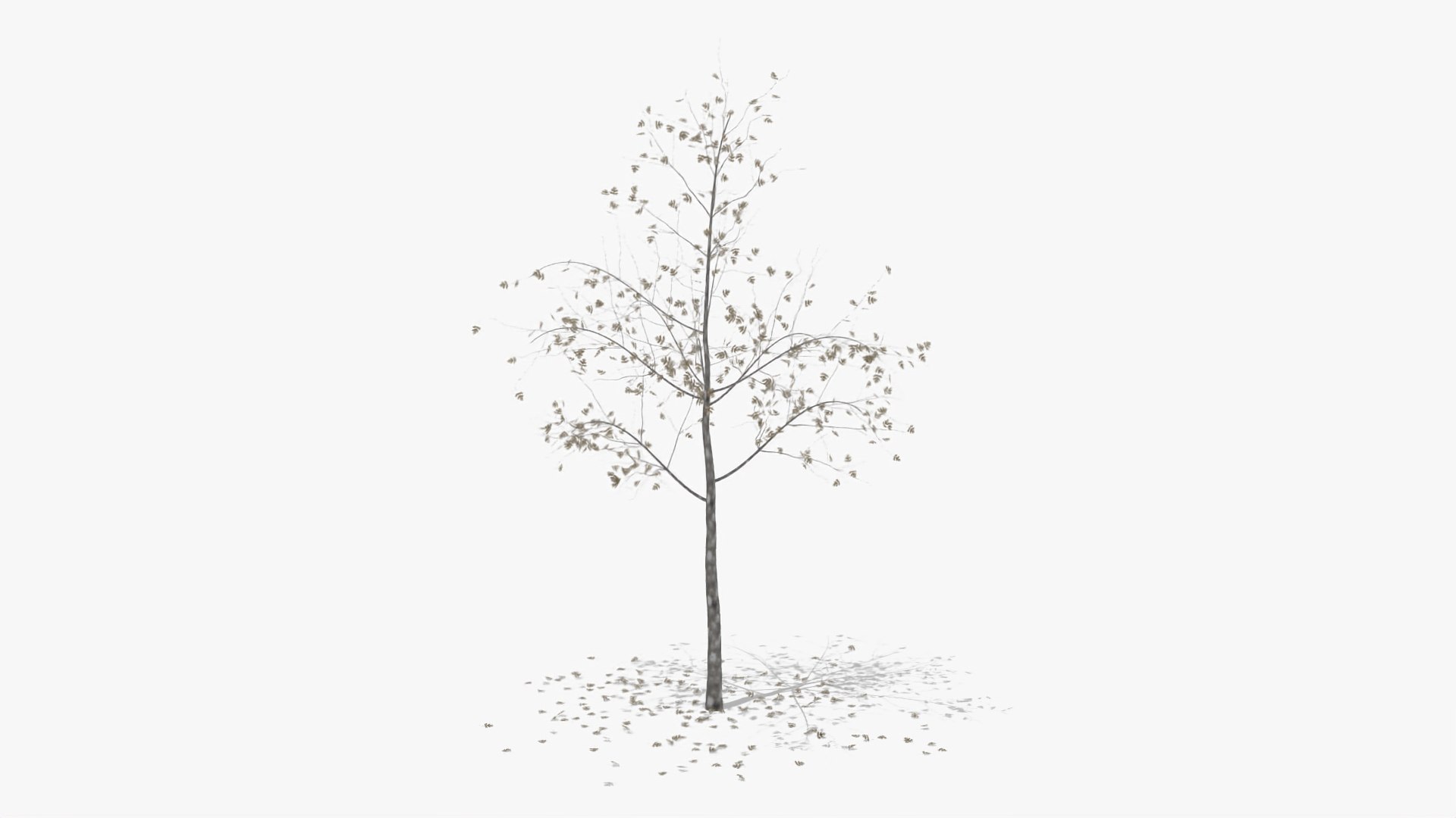 hawthorn winter hight model https://p.turbosquid.com/ts-thumb/3r/zCuveE/mEa3QeNB/1/jpg/1601552852/1920x1080/fit_q87/075ff45ded44153798ea6c7075f6f25b709705f3/1.jpg