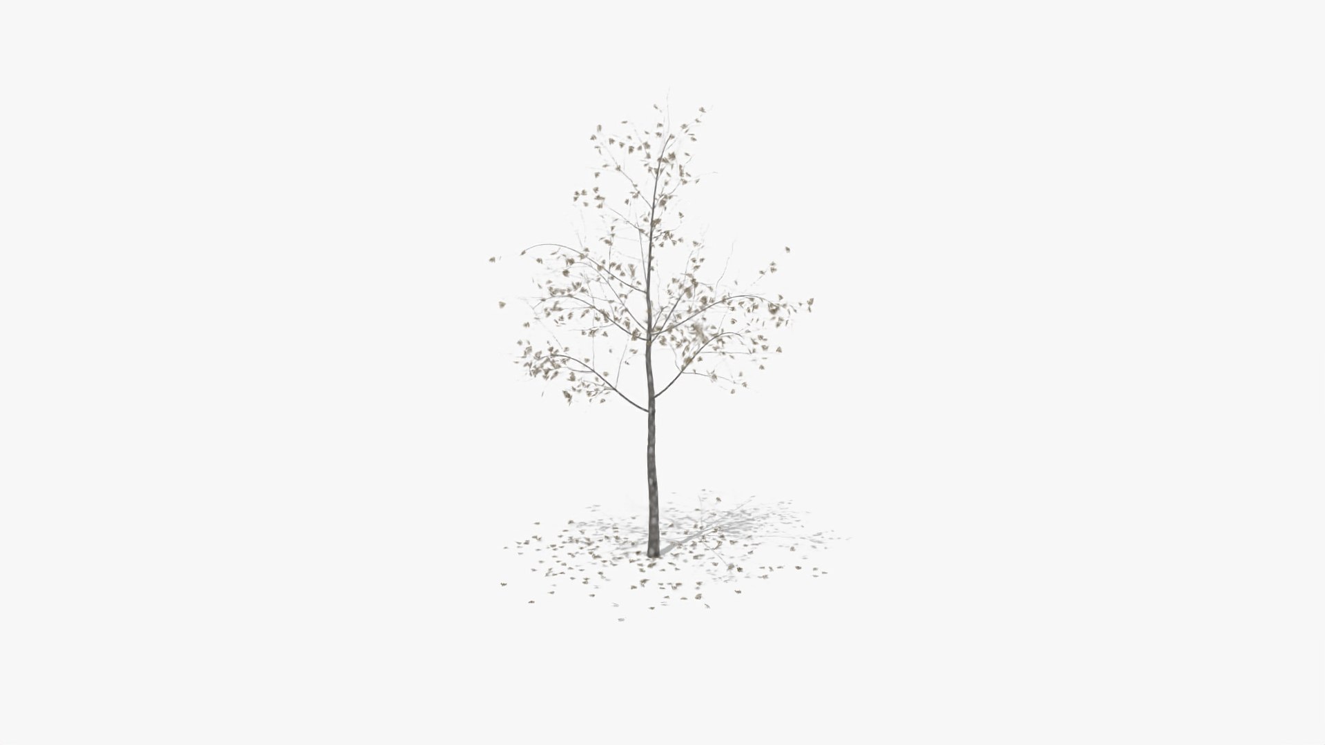 hawthorn winter hight model https://p.turbosquid.com/ts-thumb/3r/zCuveE/pOjWRILR/5/jpg/1601552855/1920x1080/fit_q87/e9289c9256e58590484dbc24889abed36d16e87e/5.jpg