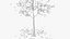 hawthorn winter hight poly