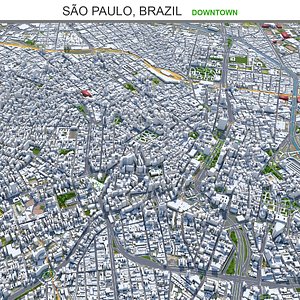 Sao Paulo Downtown 3D