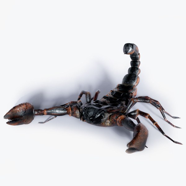 Scorpion model