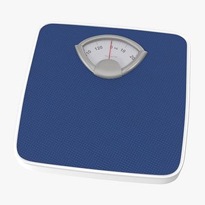 Personal Scale 01