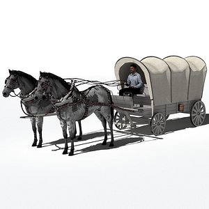 Horse-Drawn Wagon 2