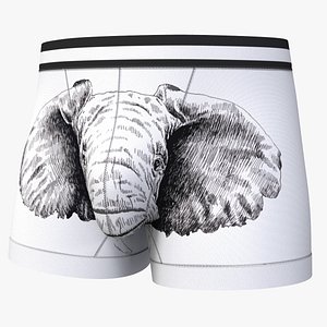 Funny Underwear Boxer Man