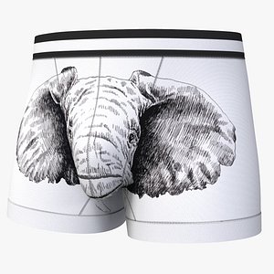Funny Underwear Boxer Man