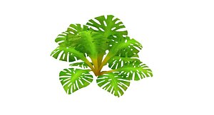 Fern Monstera Cartoon