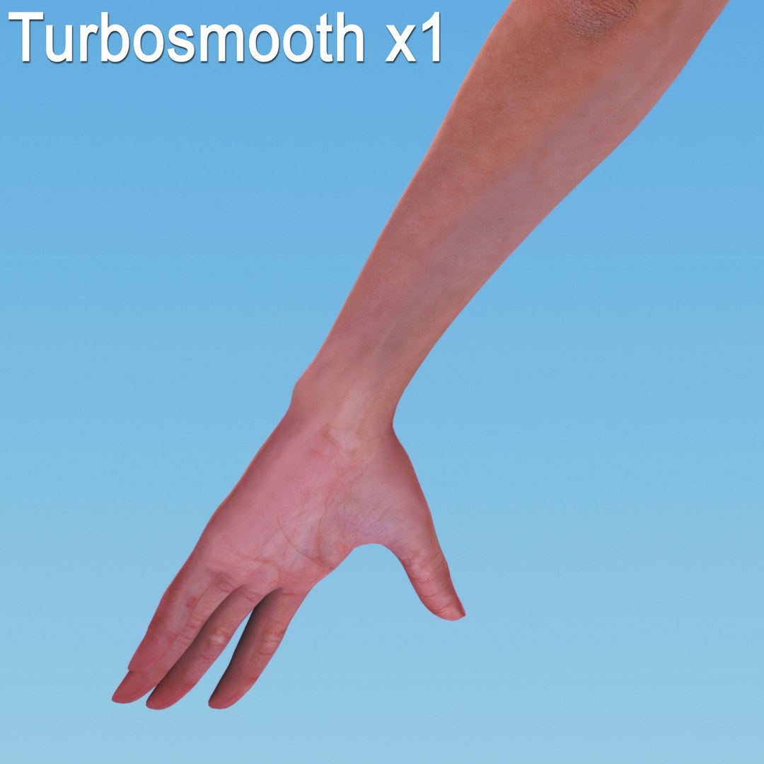 Human Arm 3d Model