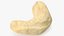 3D model Cashew 5