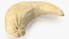 3D model Cashew 5