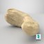 3D model Cashew 5
