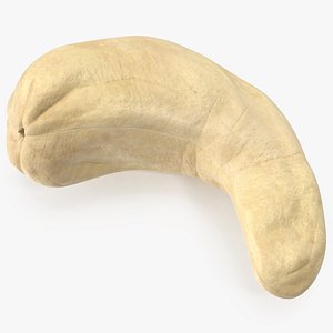 3D model Cashew 5