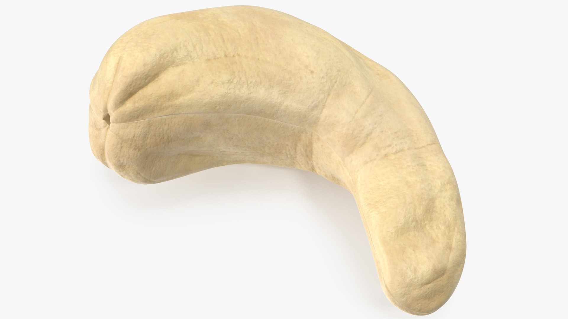 3D model Cashew 5 https://p.turbosquid.com/ts-thumb/3s/JzIqap/w4/angles_00/jpg/1702918814/1920x1080/fit_q87/1657959891b538142049958d124ae893ed92a5f1/angles_00.jpg