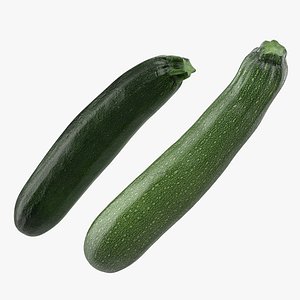 3D zucchini vegetable