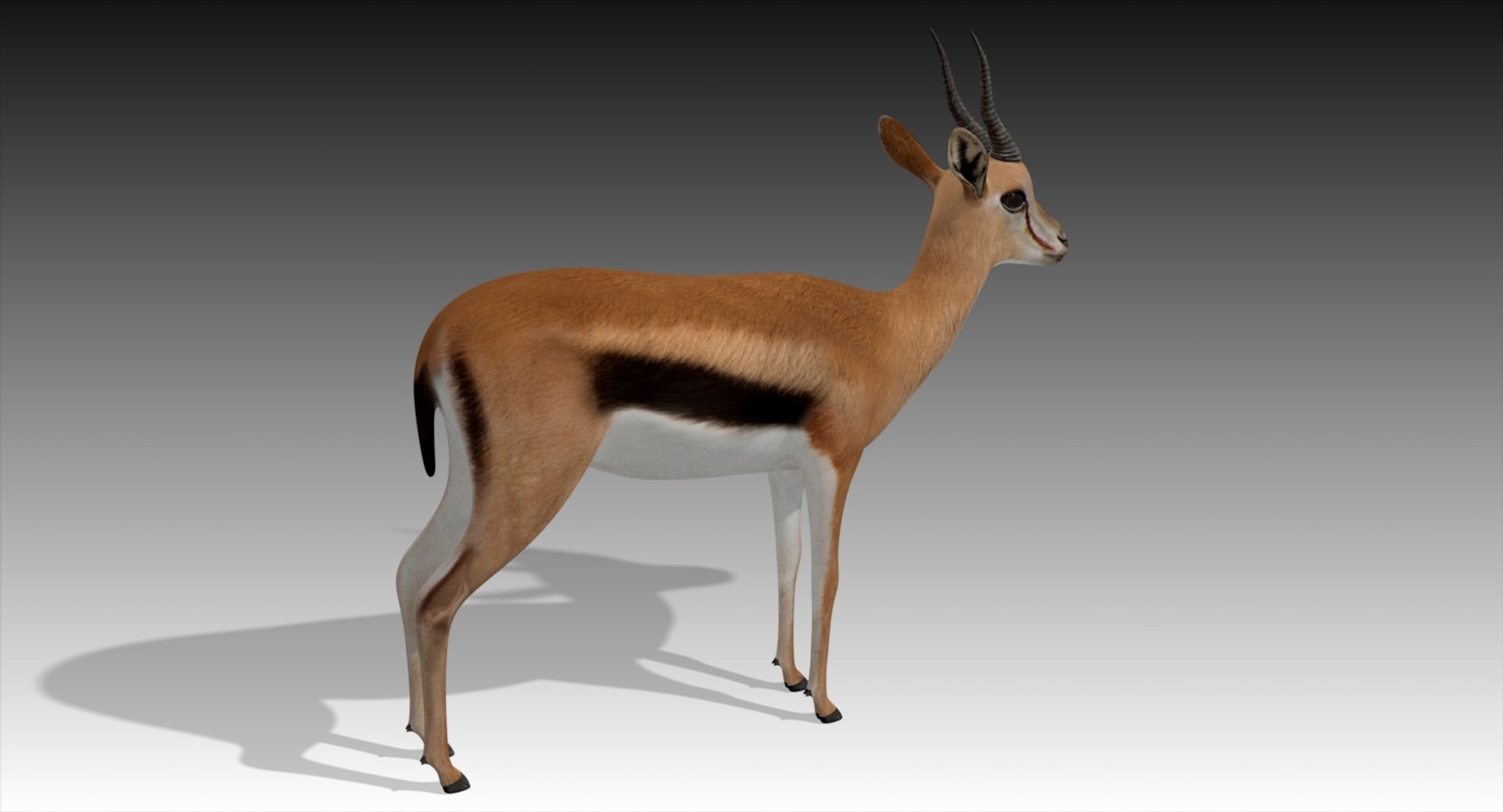 3D gazelle rigged https://p.turbosquid.com/ts-thumb/3s/OzLArT/25eIAOKc/tpose2/jpg/1533907789/1920x1080/fit_q87/b54c436c6f1554c0c411dfd6de56777675e47d7f/tpose2.jpg