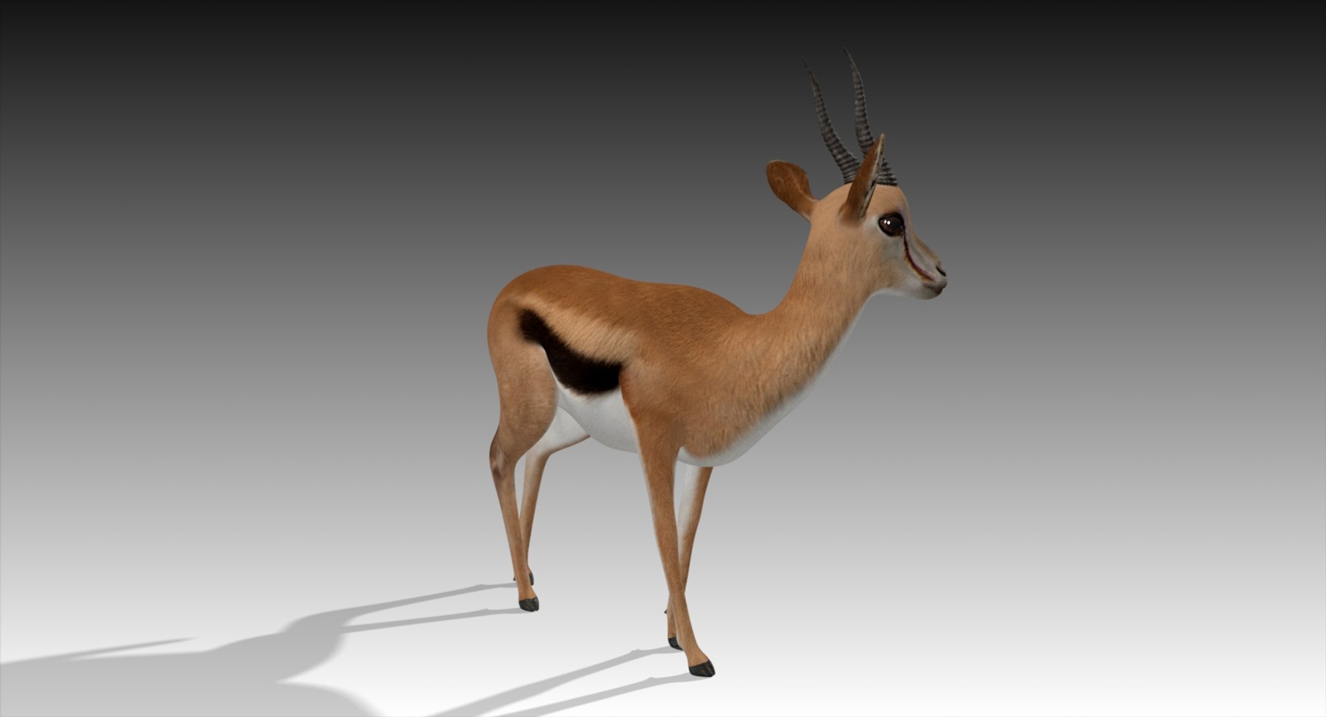 3D gazelle rigged https://p.turbosquid.com/ts-thumb/3s/OzLArT/As48MgG6/gazelle5/jpg/1533907657/1920x1080/fit_q87/c2abb6d65328126b76f9c64471051f34582613bd/gazelle5.jpg