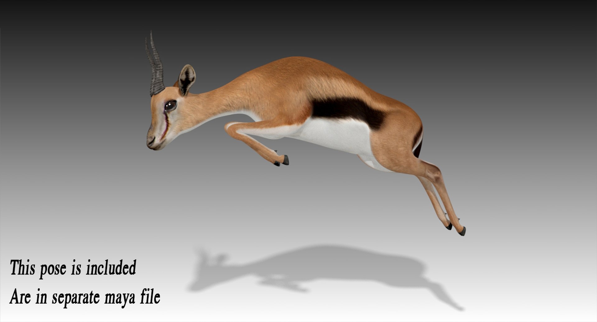 3D gazelle rigged https://p.turbosquid.com/ts-thumb/3s/OzLArT/MKH5F8C8/gazellejump1/jpg/1534480792/1920x1080/fit_q87/b88d26efab283e1e4971485636ac2d949dcd2d65/gazellejump1.jpg