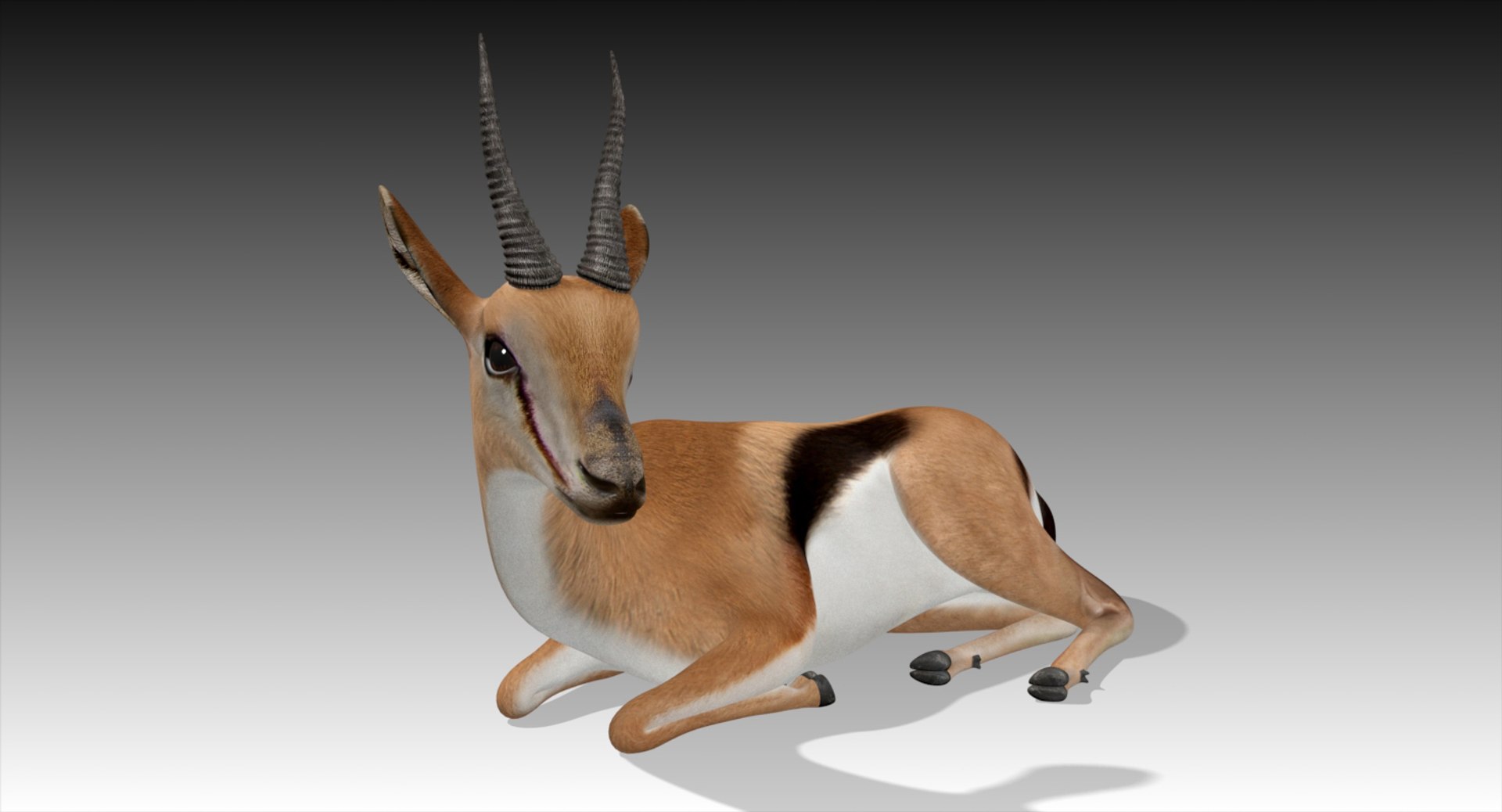 3D gazelle rigged https://p.turbosquid.com/ts-thumb/3s/OzLArT/aw2tOKtd/laiddown1/jpg/1534480841/1920x1080/fit_q87/e27f80237ddfbdc94939dbb6f157eabfd48d7ef3/laiddown1.jpg