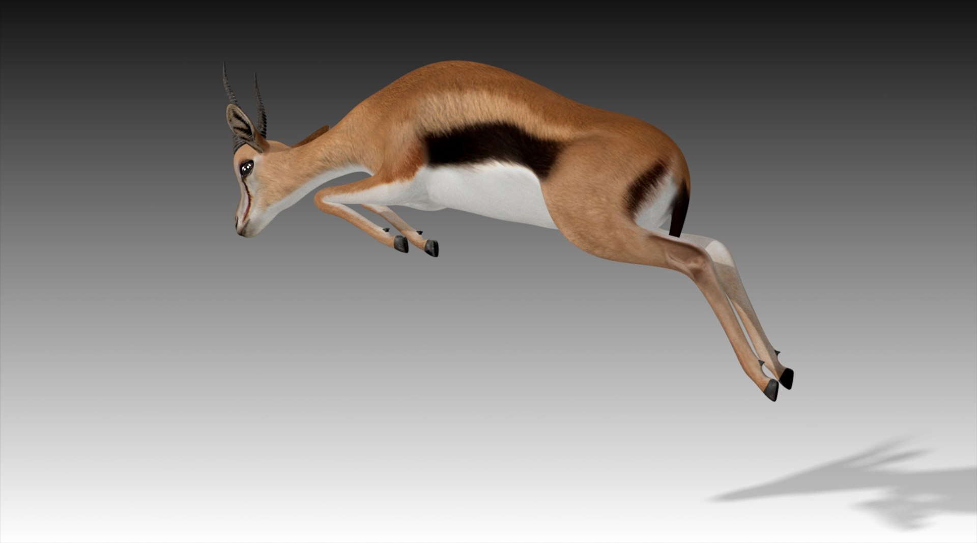 3D gazelle rigged https://p.turbosquid.com/ts-thumb/3s/OzLArT/o6aMnk7Y/gazellejump2/jpg/1533962380/1920x1080/fit_q87/0ca5799615755bcc94d68cbabecefa29c1bbcb93/gazellejump2.jpg