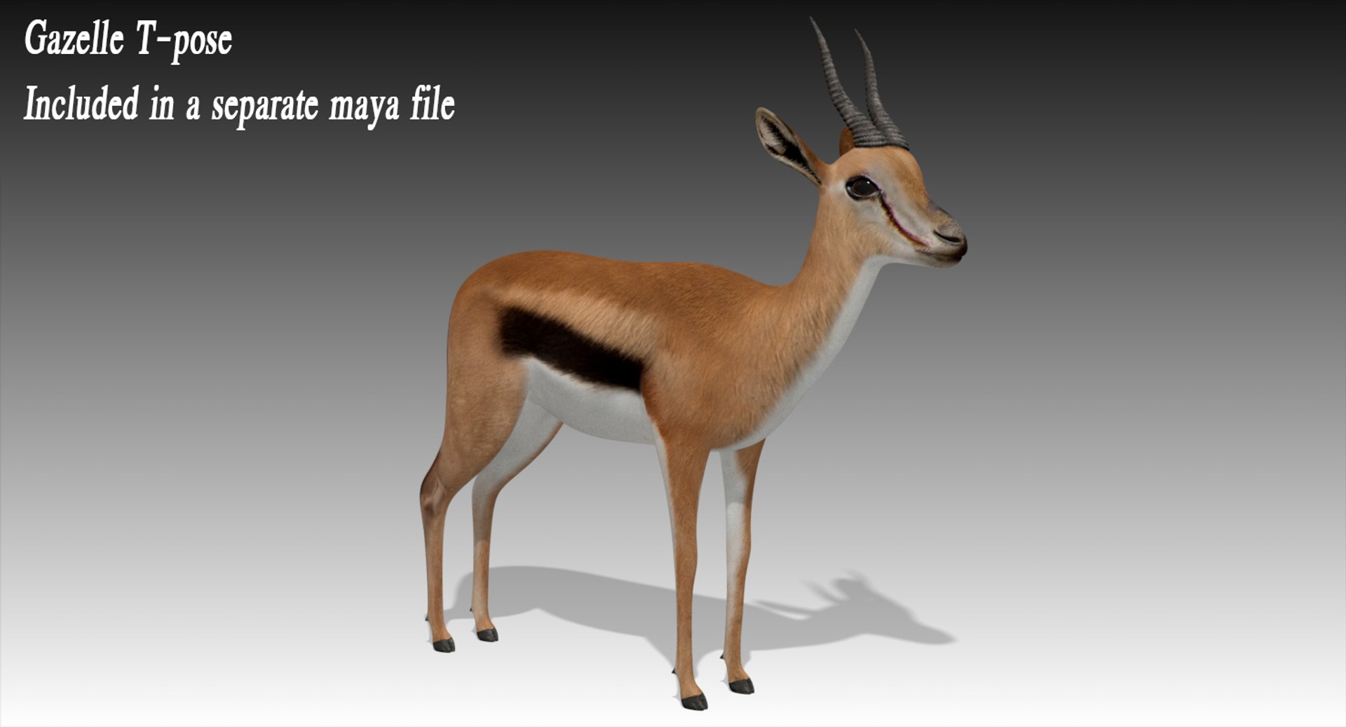 3D gazelle rigged https://p.turbosquid.com/ts-thumb/3s/OzLArT/skXgneel/tpose1/jpg/1534480931/1920x1080/fit_q87/5c92cc4747f4469e64d49b54e09aba46b92e8e88/tpose1.jpg