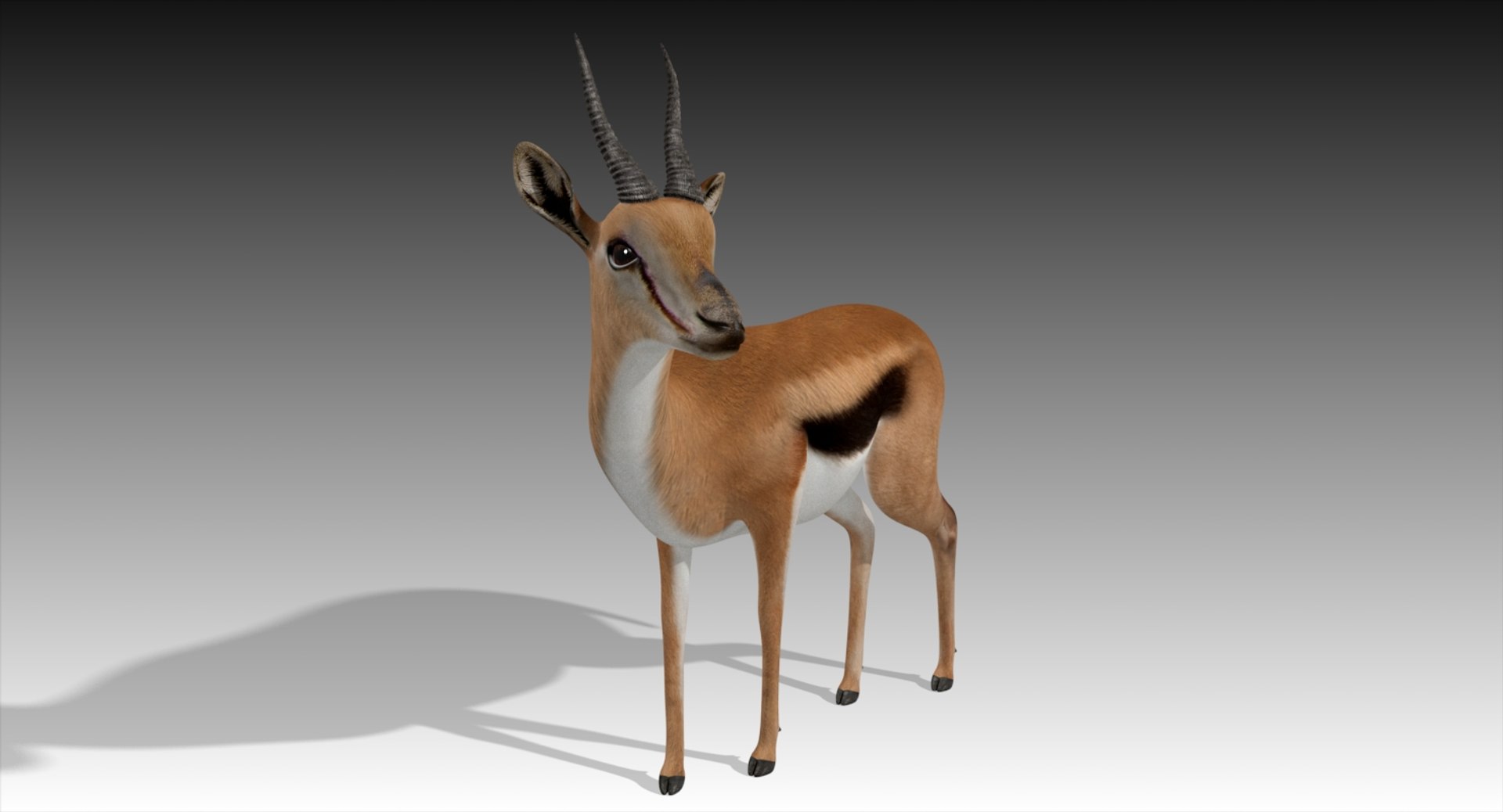 3D gazelle rigged https://p.turbosquid.com/ts-thumb/3s/OzLArT/u7HKsQGZ/gazelle2/jpg/1533907638/1920x1080/fit_q87/2ae02c02f5326a7262342fc09076c828556a3edd/gazelle2.jpg