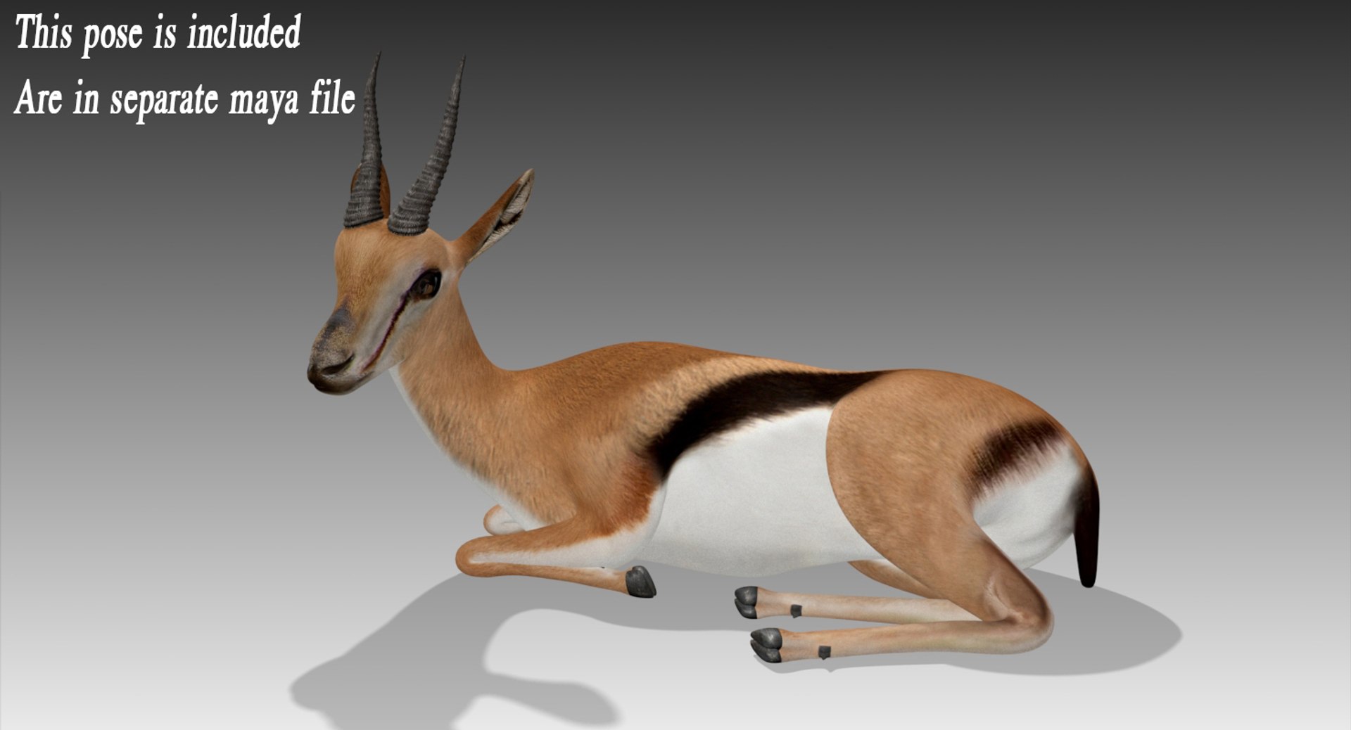 3D gazelle rigged https://p.turbosquid.com/ts-thumb/3s/OzLArT/xDmlhJyG/laiddown2/jpg/1534480865/1920x1080/fit_q87/4f042202b68be0631f65087cc0f735d39b86506f/laiddown2.jpg