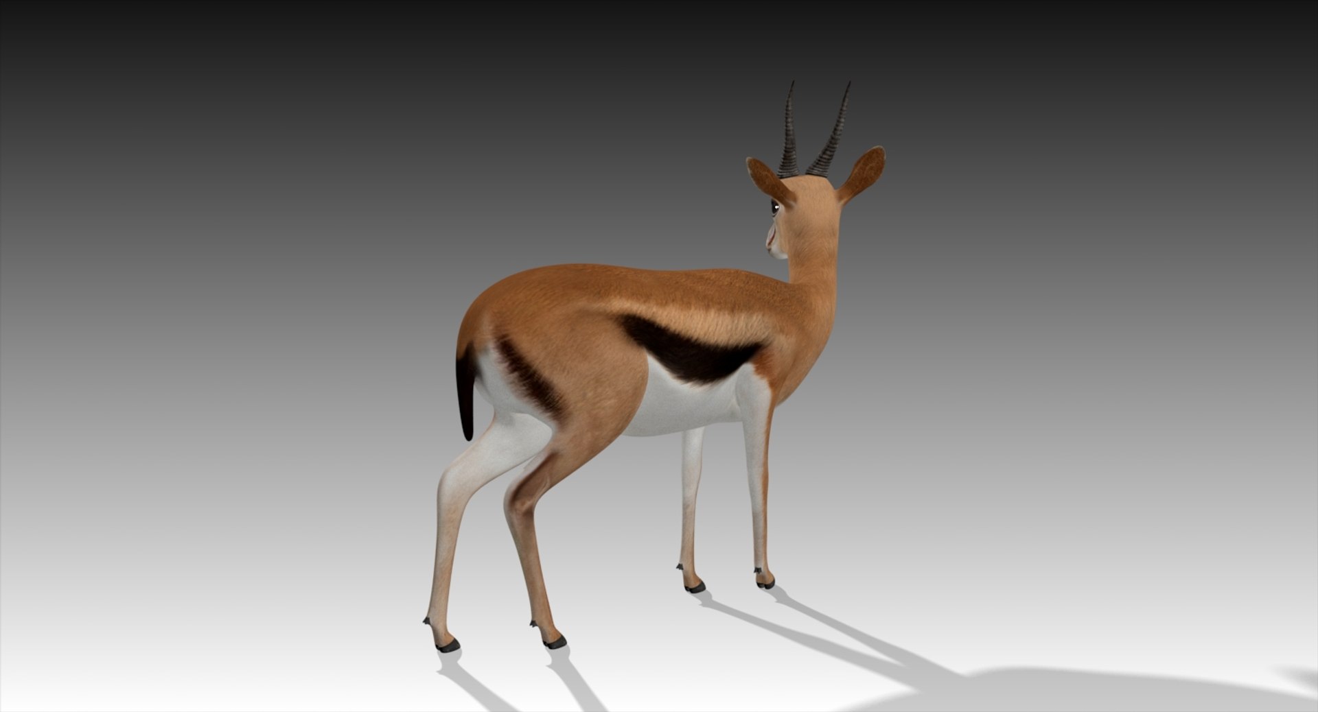 3D gazelle rigged https://p.turbosquid.com/ts-thumb/3s/OzLArT/xaFn5GA5/gazelle4/jpg/1533907644/1920x1080/fit_q87/31e0917056bccb6538d4e3fcfce11a7ebf4f4a9f/gazelle4.jpg