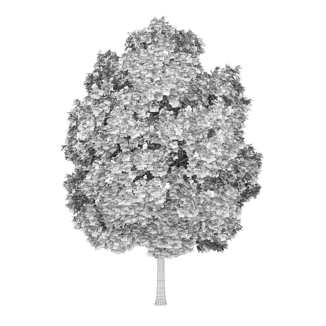 Common C4d