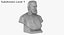 Victor Hugo Bust