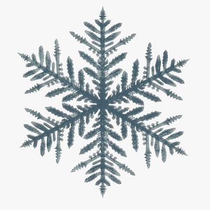 snowflake snow flake 3D model