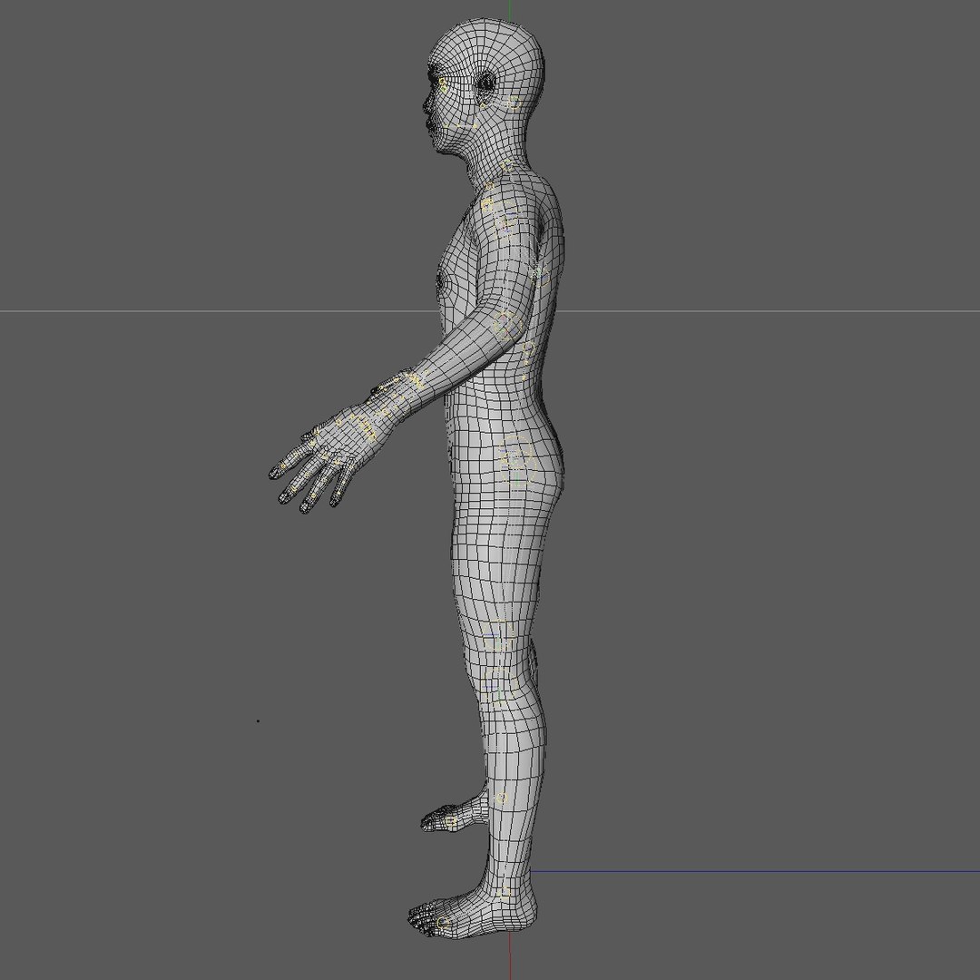 3d model of realistic base mesh rigged