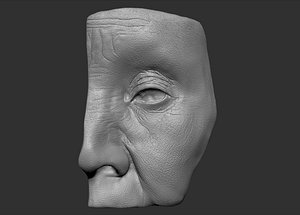 head parts eye