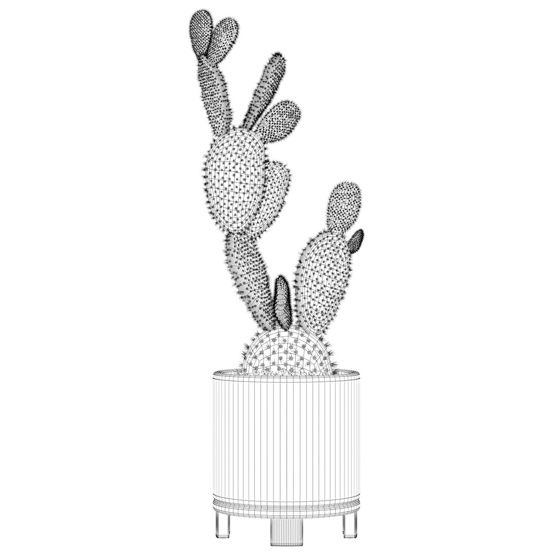 opuntia microdasys flower pot 3D model https://p.turbosquid.com/ts-thumb/3s/qokRWw/01/opuntiamicrodasys_02/jpg/1663587945/1920x1080/fit_q87/9e450f36f0257342f04d836da7b17bd62136e9f6/opuntiamicrodasys_02.jpg
